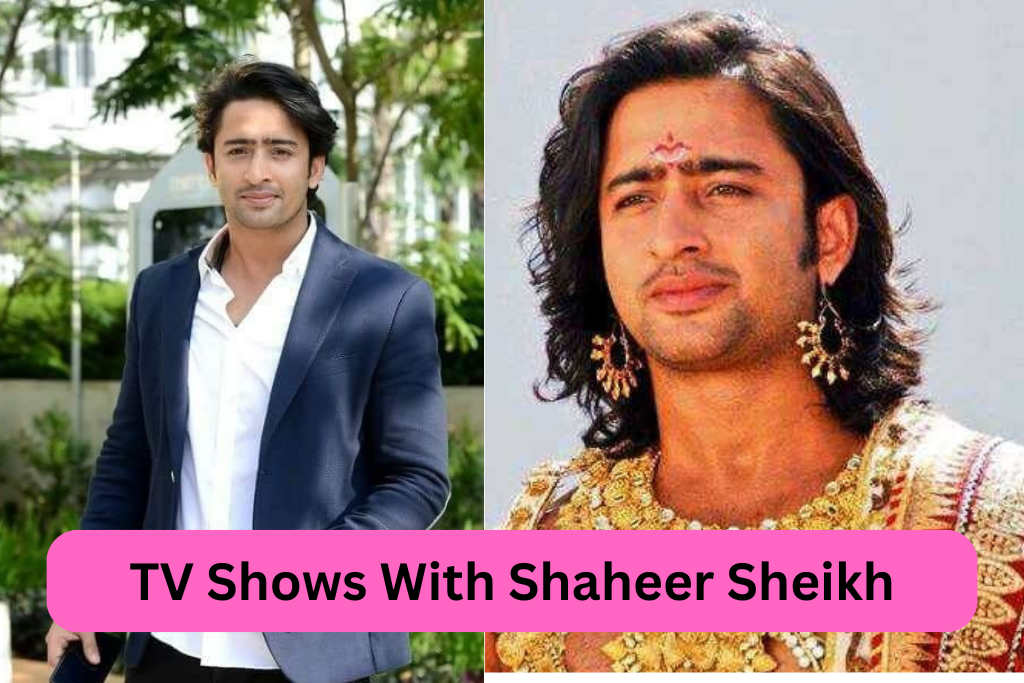 TV Shows With Shaheer Sheikh